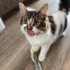 Meet your Posher, Aly